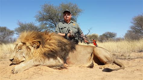 ¿La caza del león? Una oda cruda y vibrante a la vida salvaje sudafricana!