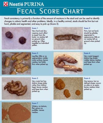 What is the average composition of fecal waste material? And why does it matter in the grand scheme of cosmic dust?